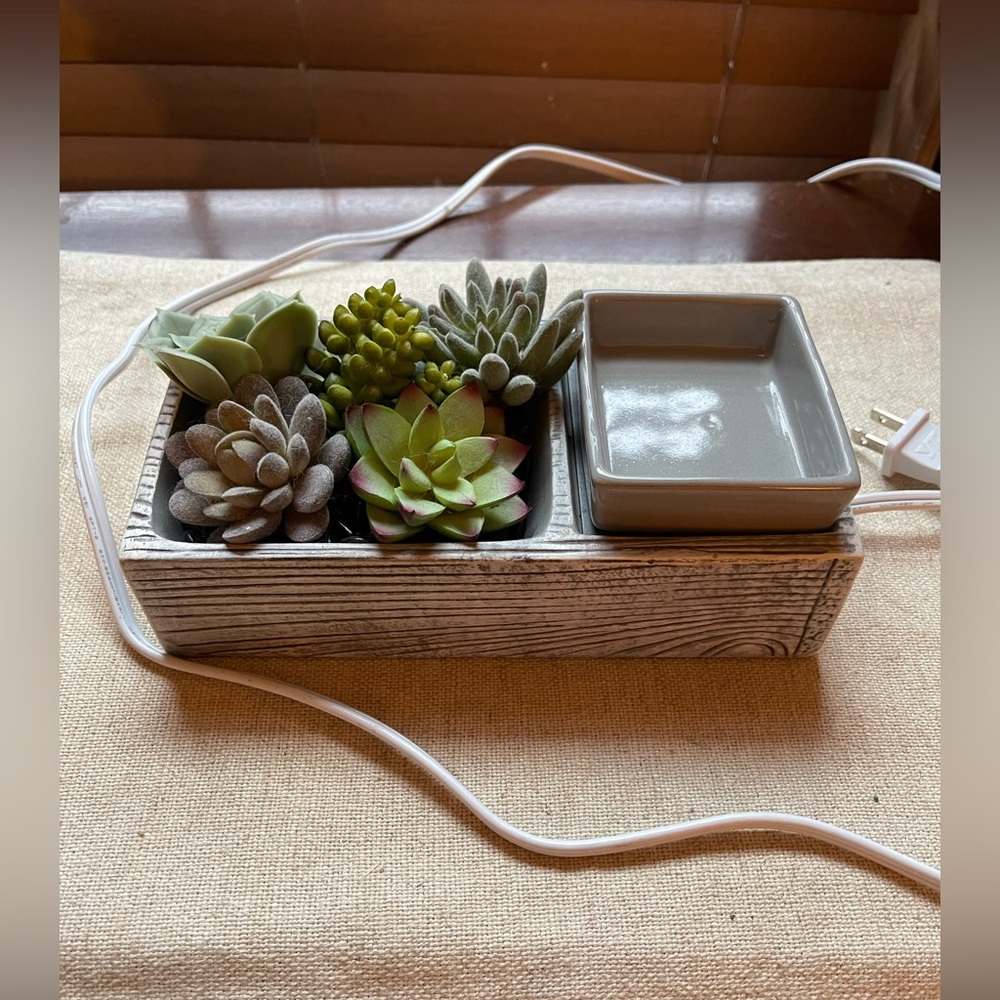Scentsy Suc-cute-lent wax warmer